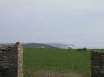 SX05272 View over sheeps field towards Dunraven Bay from Southerndown.jpg